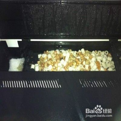 魚缸里的水不清澈是怎么回事兒，魚缸水質不清澈的日常維護方法