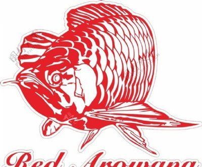 商標(biāo)紅龍魚（紅龍魚商標(biāo)屬于第1類-化學(xué)原料類商標(biāo)）