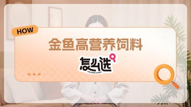 金龍魚專用飼料哪個性價比最高？
