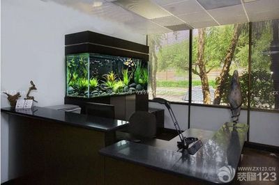 辦公室魚缸擺放在什么位置好呢（辦公室魚缸風水擺設技巧）