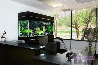 辦公室魚缸擺放在什么位置好呢（辦公室魚缸風水擺設技巧）