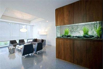 辦公室魚缸擺放在什么位置好呢（辦公室魚缸風水擺設技巧）