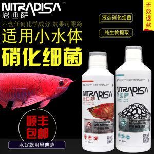 龍魚萬能藥跟龍魚清菌靈會殺死硝化細菌嗎？：龍魚萬能藥和龍魚清菌靈會對硝化細菌產生致命影響嗎