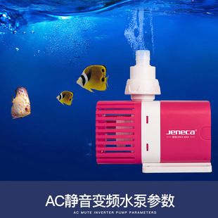 紅龍魚喂什么發色快些好看（紅龍魚喂什么發色快些好看呢）