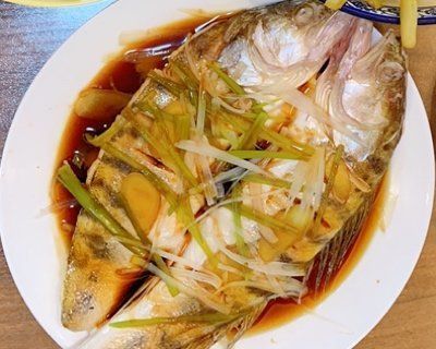 雪龍魚是海魚還是河魚（(iucn)易危物種雪龍魚）