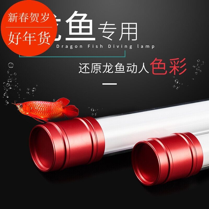 養金龍魚用什么燈管好：養金龍魚用什么燈管好養金龍魚用什么燈管好