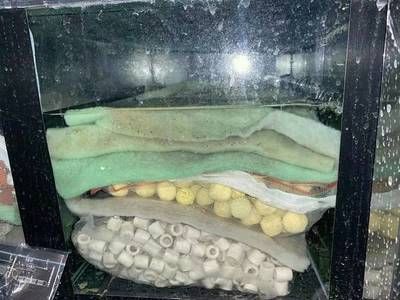 龍魚底濾濾材如何搭配，養(yǎng)龍魚底濾濾材的選擇和搭配