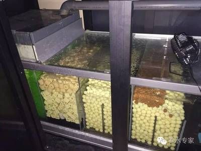 龍魚底濾濾材如何搭配，養(yǎng)龍魚底濾濾材的選擇和搭配