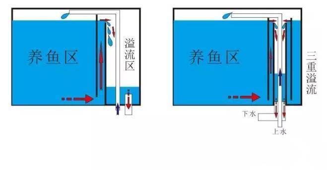 龍魚(yú)缸底濾放環(huán)還是球：魚(yú)缸底濾放環(huán)還是球