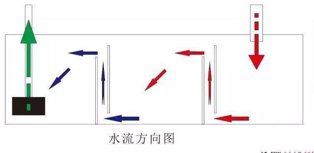 龍魚(yú)缸底濾放環(huán)還是球：魚(yú)缸底濾放環(huán)還是球