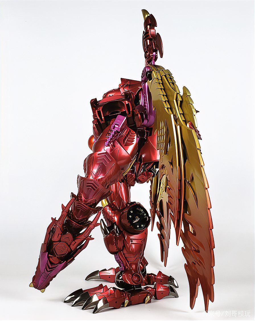 戰車紅龍有哪些品種