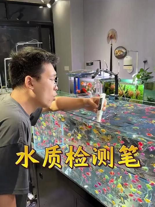紅金龍魚如何專業養護？