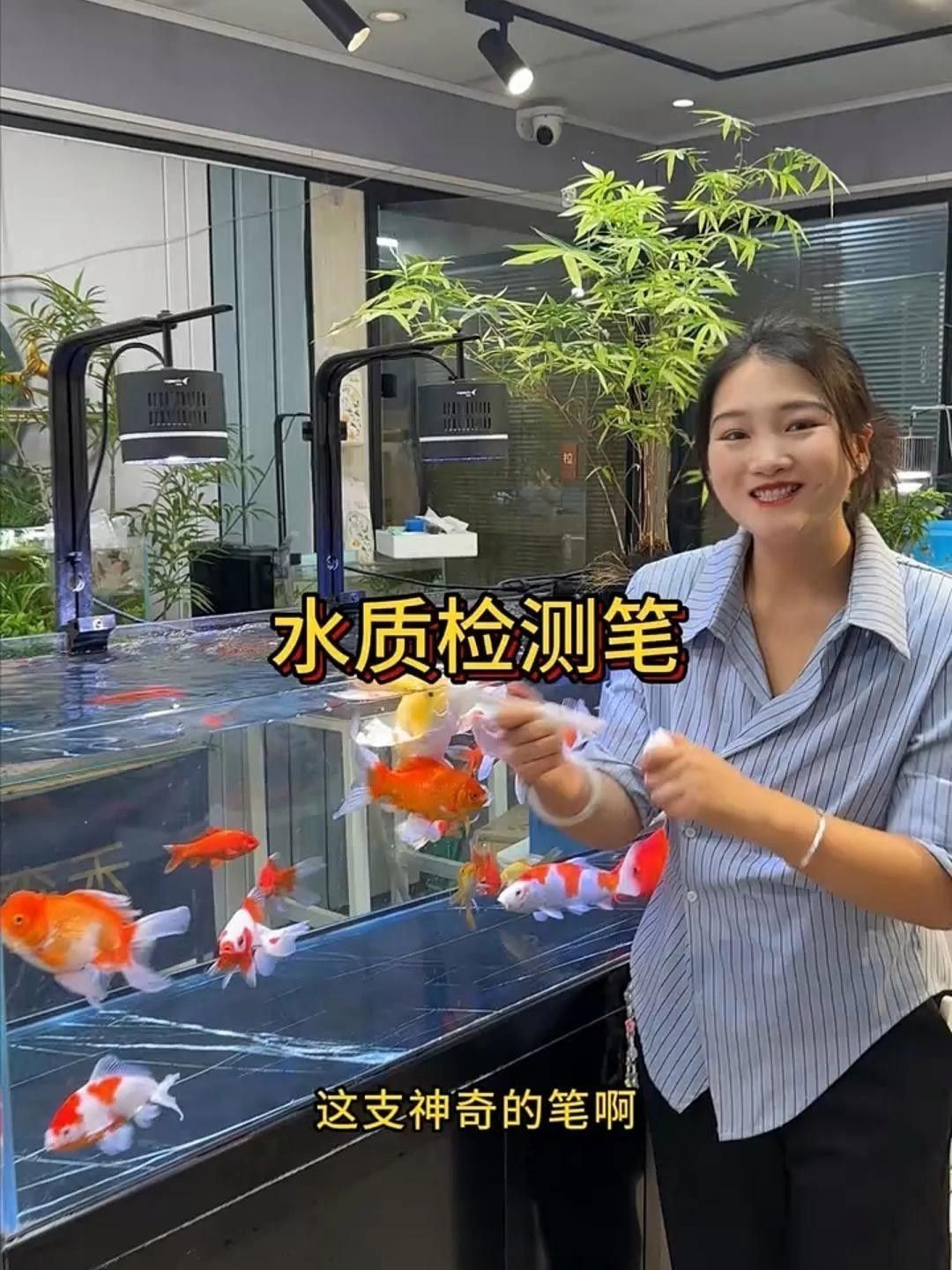 紅金龍魚如何專業養護？