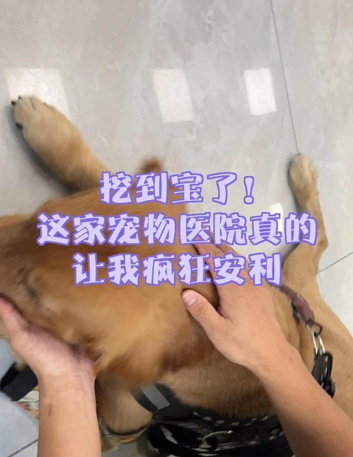 長春龍魚掉眼手術醫院電話