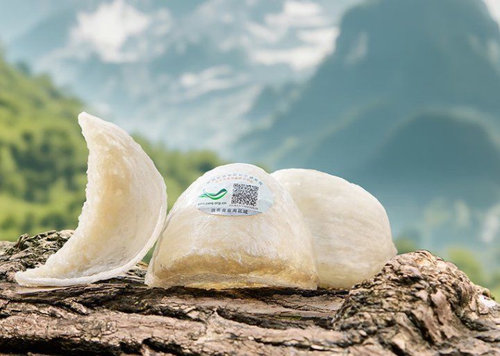 馬印燕屋這個牌子好不好用