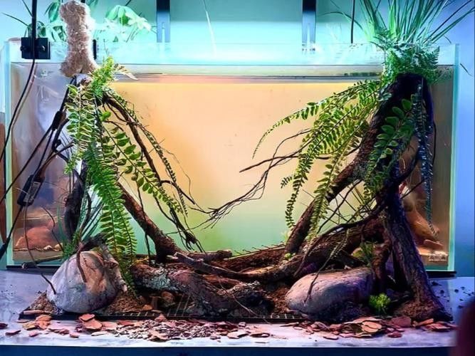 龍魚缸造景圖片大全集