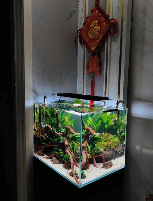 龍魚缸造景圖片大全集