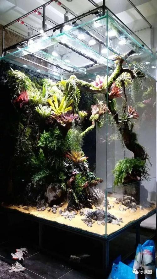 龍魚缸造景圖片大全集