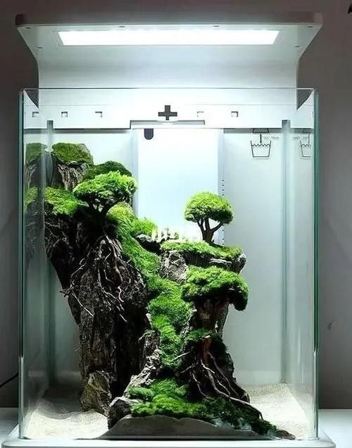 龍魚缸造景圖片大全集