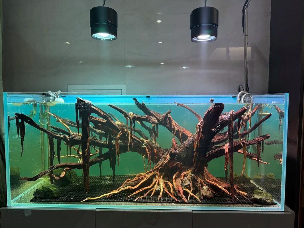 龍魚缸造景圖片大全集