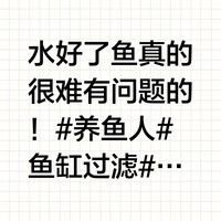 如何保持白子招財龍的水質穩定
