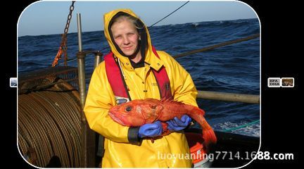 紅龍魚多少錢一條（紅龍魚價格多少錢一條）