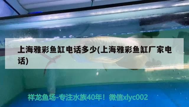 上海雅彩魚缸電話多少(上海雅彩魚缸廠家電話)