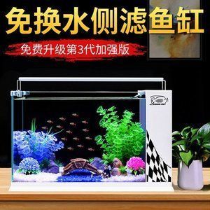 東海龍宮御龍魚缸價格多少一條：東海龍宮御龍魚缸價格多少一條東海龍宮御龍魚缸價格