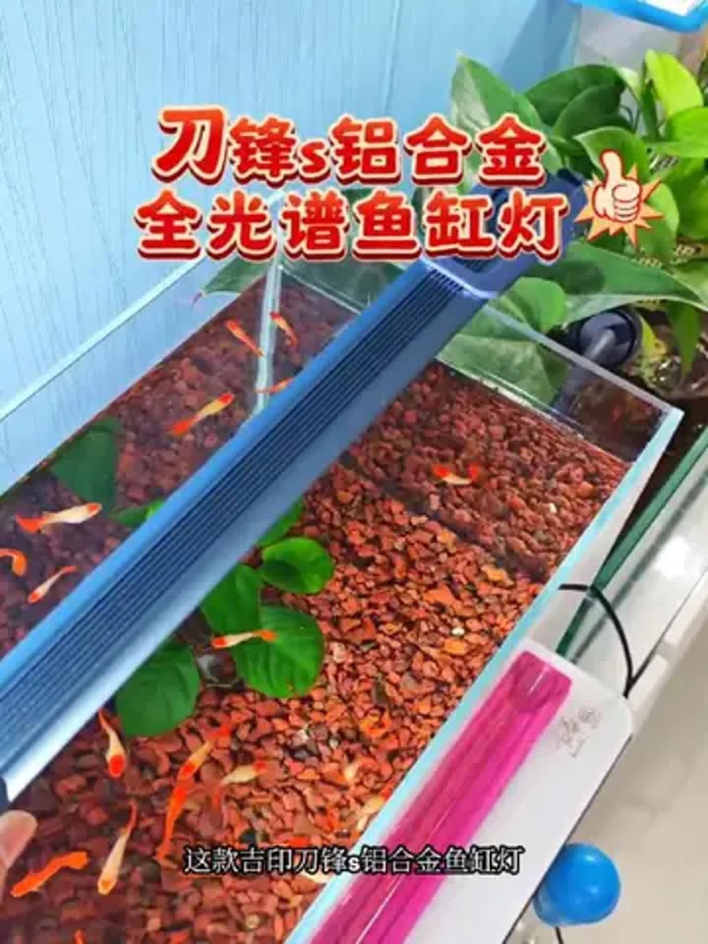 有哪些品牌魚缸燈推薦？