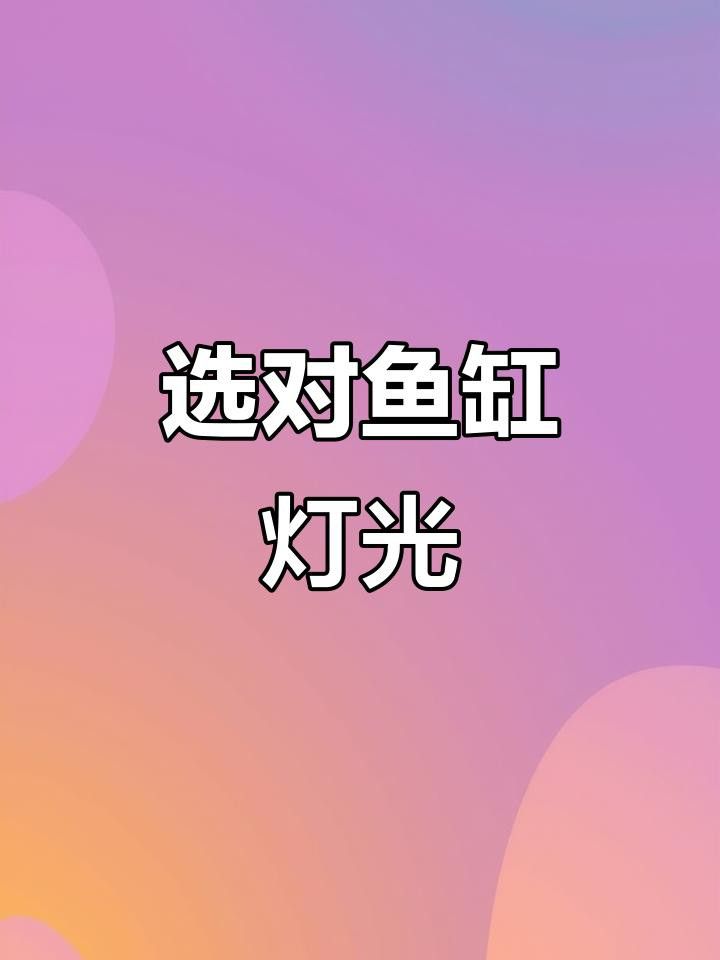 有哪些品牌魚缸燈推薦？