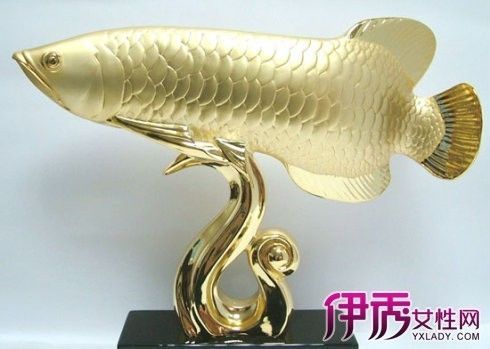 2019世界上最貴的金龍魚