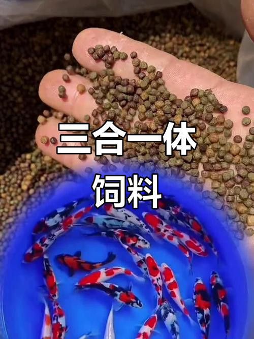 這些增色飼料中哪個效果最好？