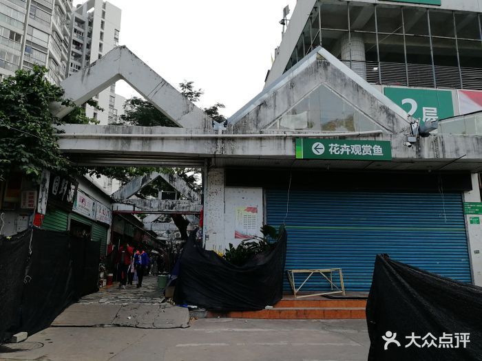 深圳買龍魚最大的市場叫什么：深圳賣龍魚最大市場是布吉海鮮批發市場布吉海鮮批發市場