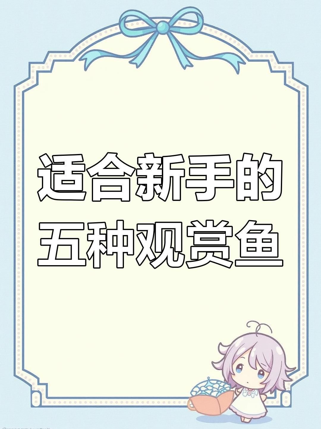 觀賞魚品種選擇指南