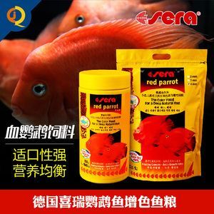 血龍魚價格多少錢一條啊：血龍魚價格多少錢一條？全面解析血龍魚的市場行情與選購指南