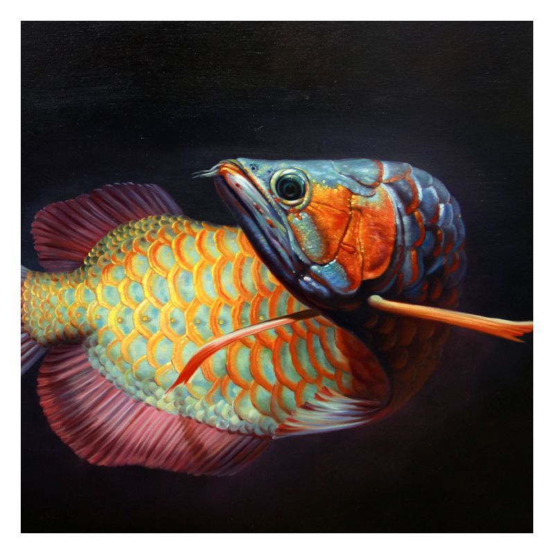 龍魚獻瑞下一句（“龍魚獻瑞”下一句是什么）