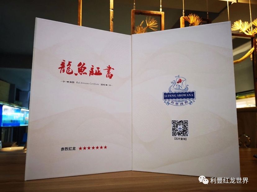 龍魚證書查詢系統（如何查詢龍魚證書上品牌）