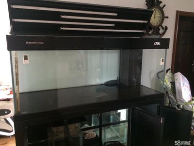 彩蝶龍?zhí)缎卤鴆款尺寸：彩蝶龍?zhí)缎卤鴆款魚(yú)缸