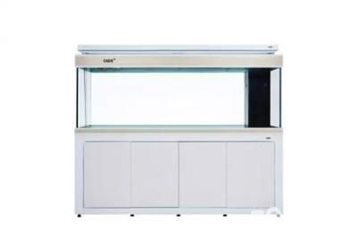 彩蝶龍?zhí)缎卤鴆款尺寸：彩蝶龍?zhí)缎卤鴆款魚(yú)缸