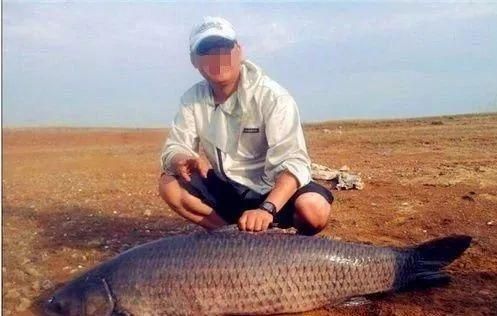 青龍魚好不好釣魚，“青龍魚”的釣魚情況