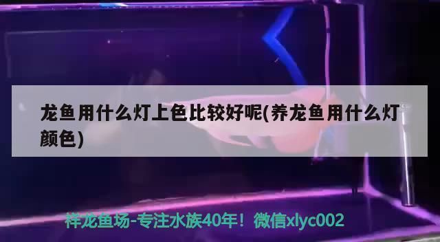 龍魚燈光開多長時間好：金龍魚燈光開多長時間好