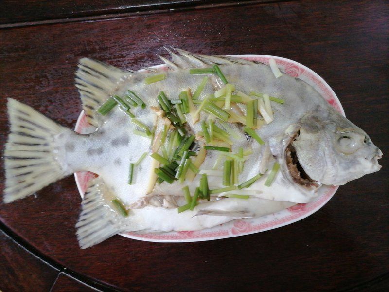 金鼓魚正確吃法