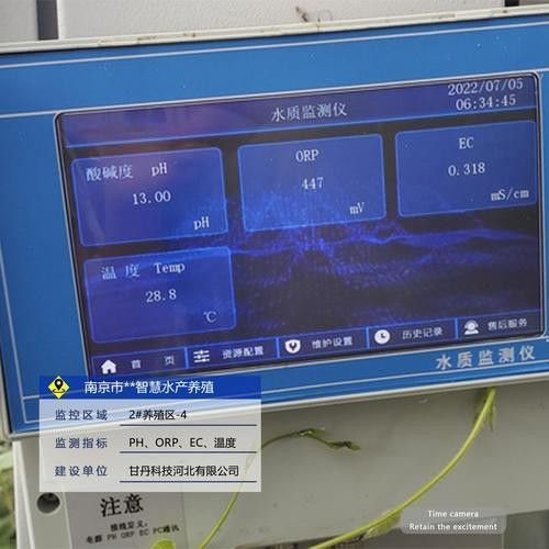 如何檢測福龍魚的水質？