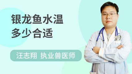 養銀龍魚有哪些講究和忌諱：養銀龍魚有什么講究和忌諱養銀龍魚有什么講究和忌諱