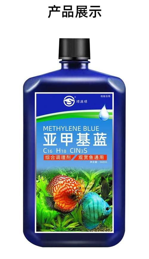 藍色的龍魚觀賞魚圖片