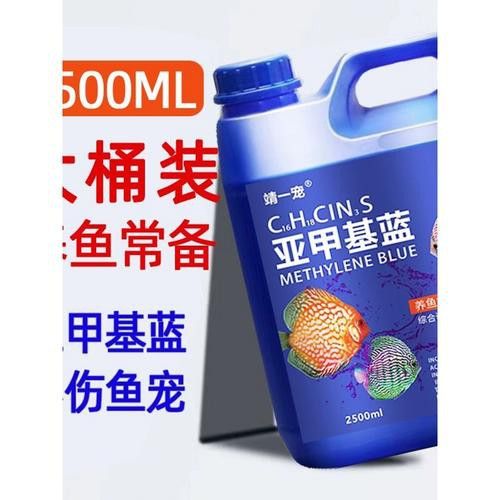 藍色的龍魚觀賞魚圖片