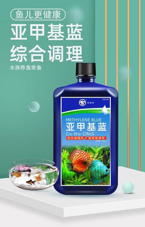 藍色的龍魚觀賞魚圖片