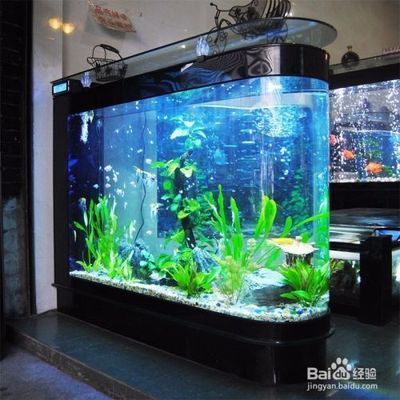 如何預(yù)防水族箱水溫驟變：水族箱恒溫設(shè)備選購(gòu)指南,水溫驟變對(duì)魚(yú)健康的影響