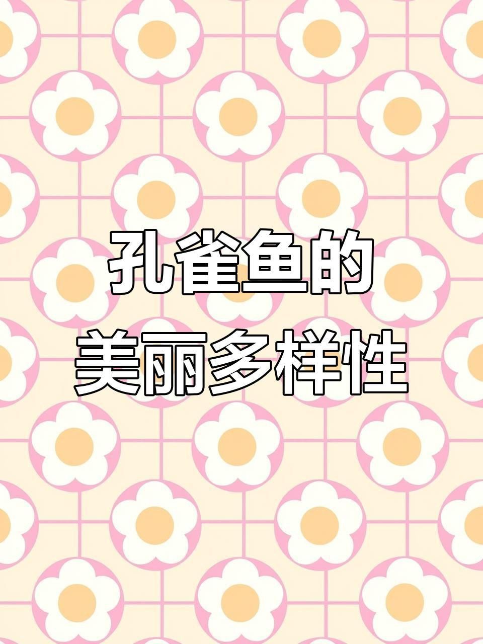 孔雀魚哪個(gè)品種最漂亮