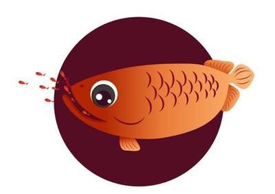 龍魚怎么看出懷孕了（如何判斷龍魚是否懷孕）